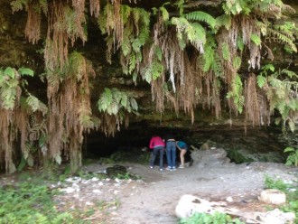 Fern cave hike 10 miles N.