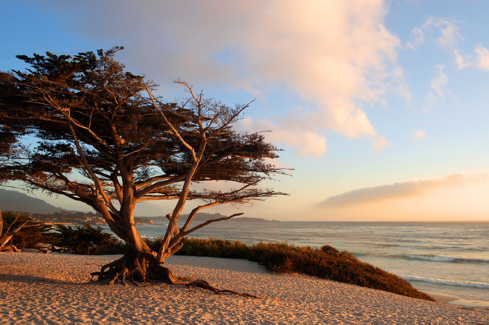 hotels in Monterey