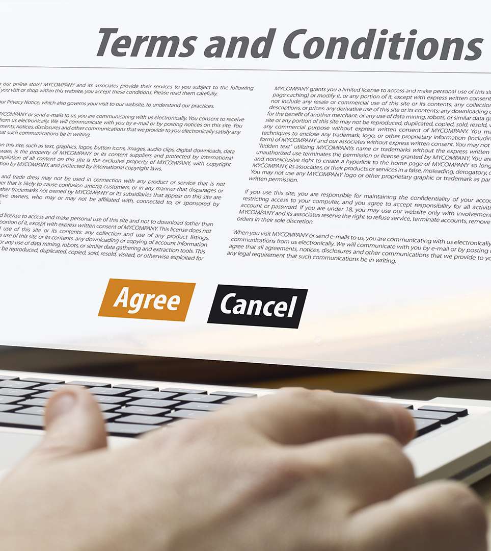 TERMS AND CONDITIONS FOR THE BLUEBIRD INN CAMBRIA WEBSITE