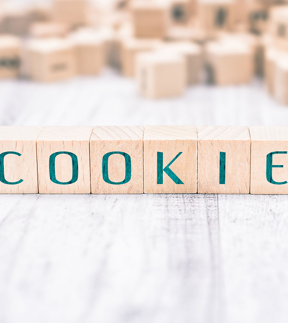 WEBSITE COOKIE POLICY FOR THE BLUE SEAL INN