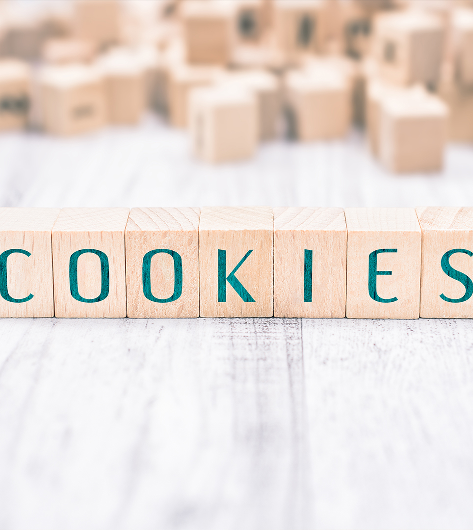 WEBSITE COOKIE POLICY FOR RAMONA VALLEY INN