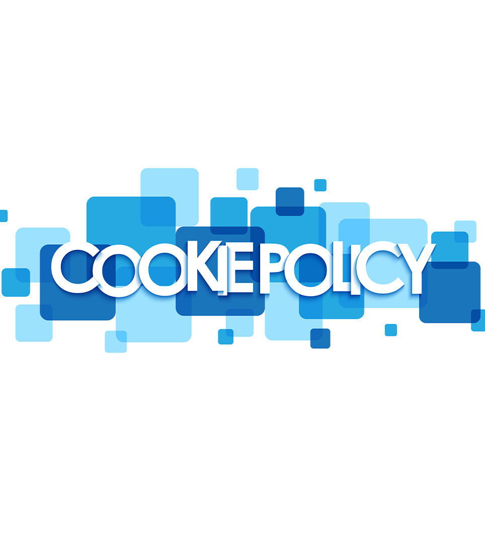 Website Cookie Policy For Discovery Inn