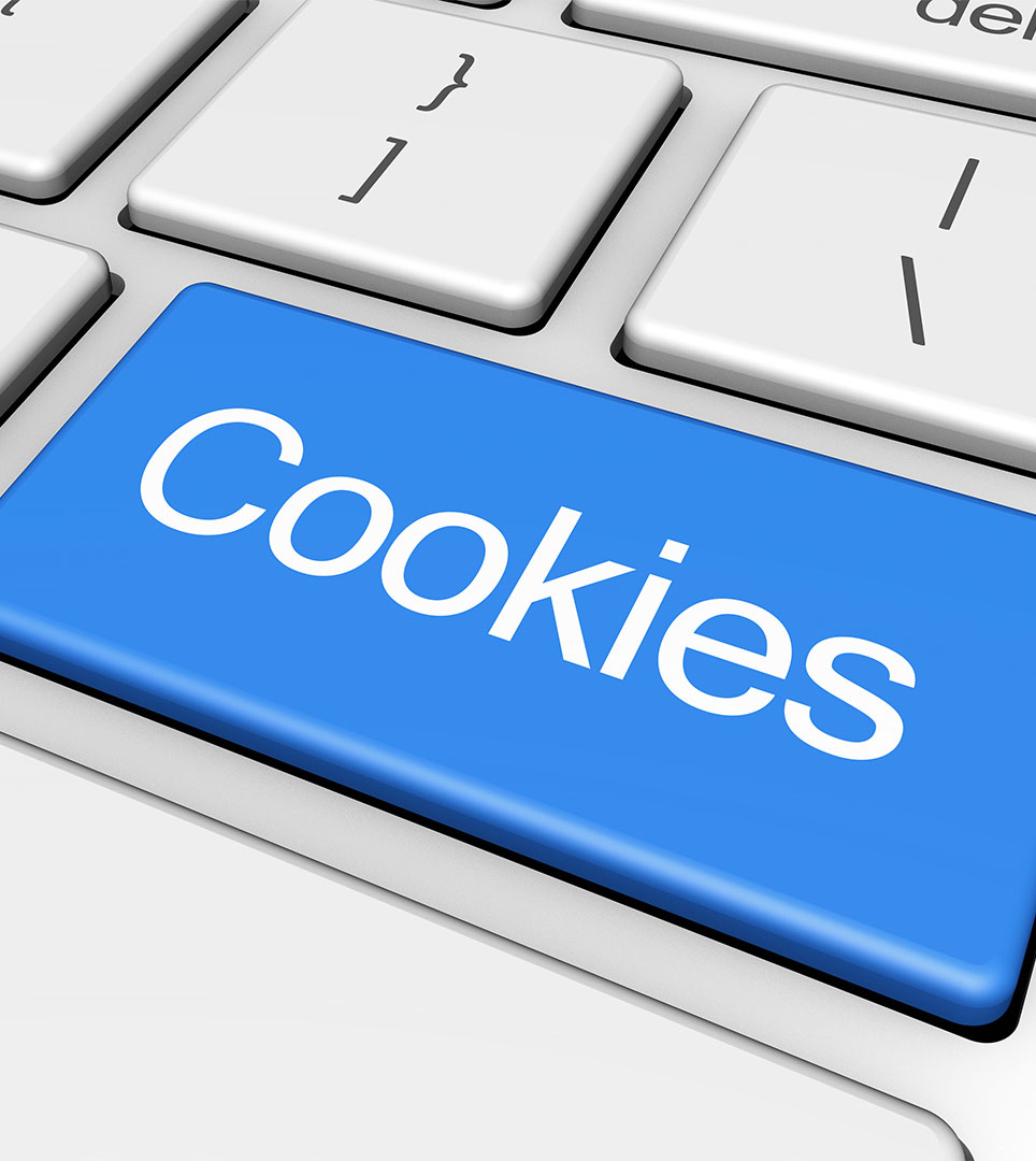 WEBSITE COOKIE POLICY FOR THE EVERGREEN 