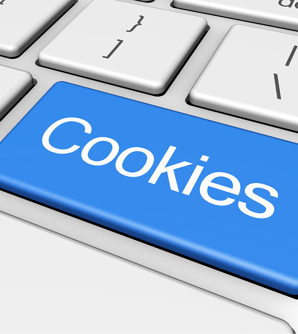 Website Cookie Policy for Budget Inn Jacksonville