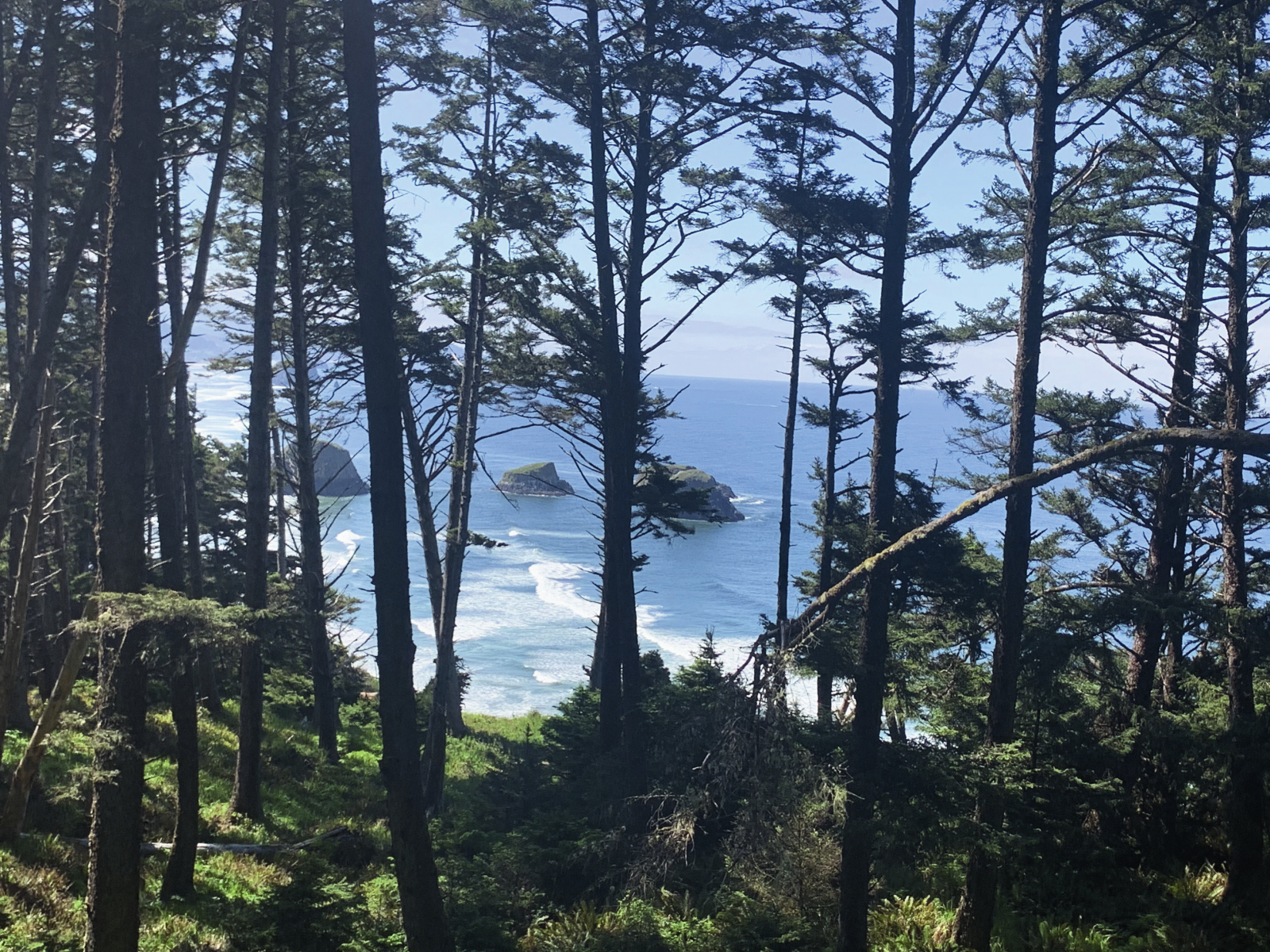New Year’s Resolutions for the  North Oregon Coast