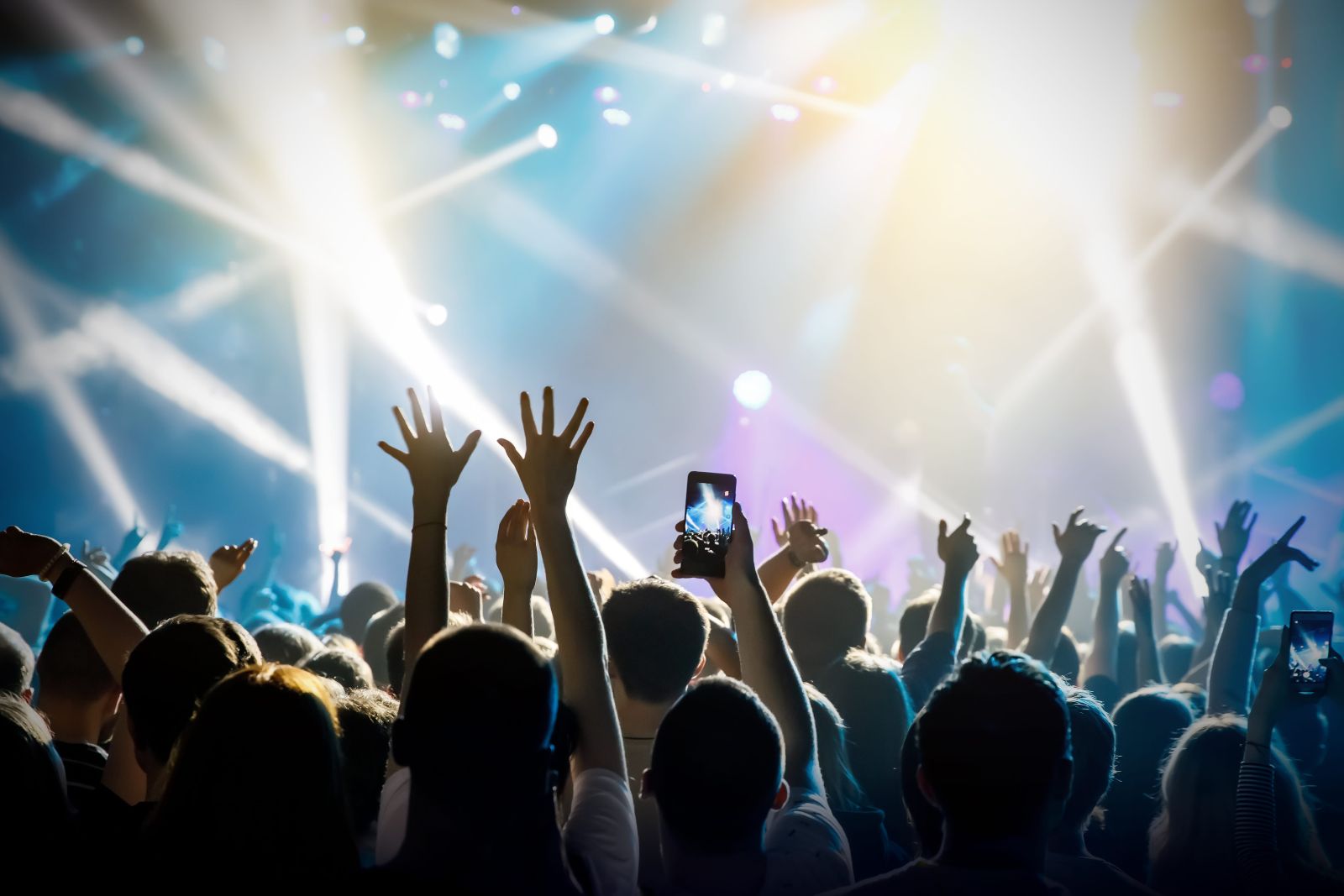 Local Concert Venues Guide