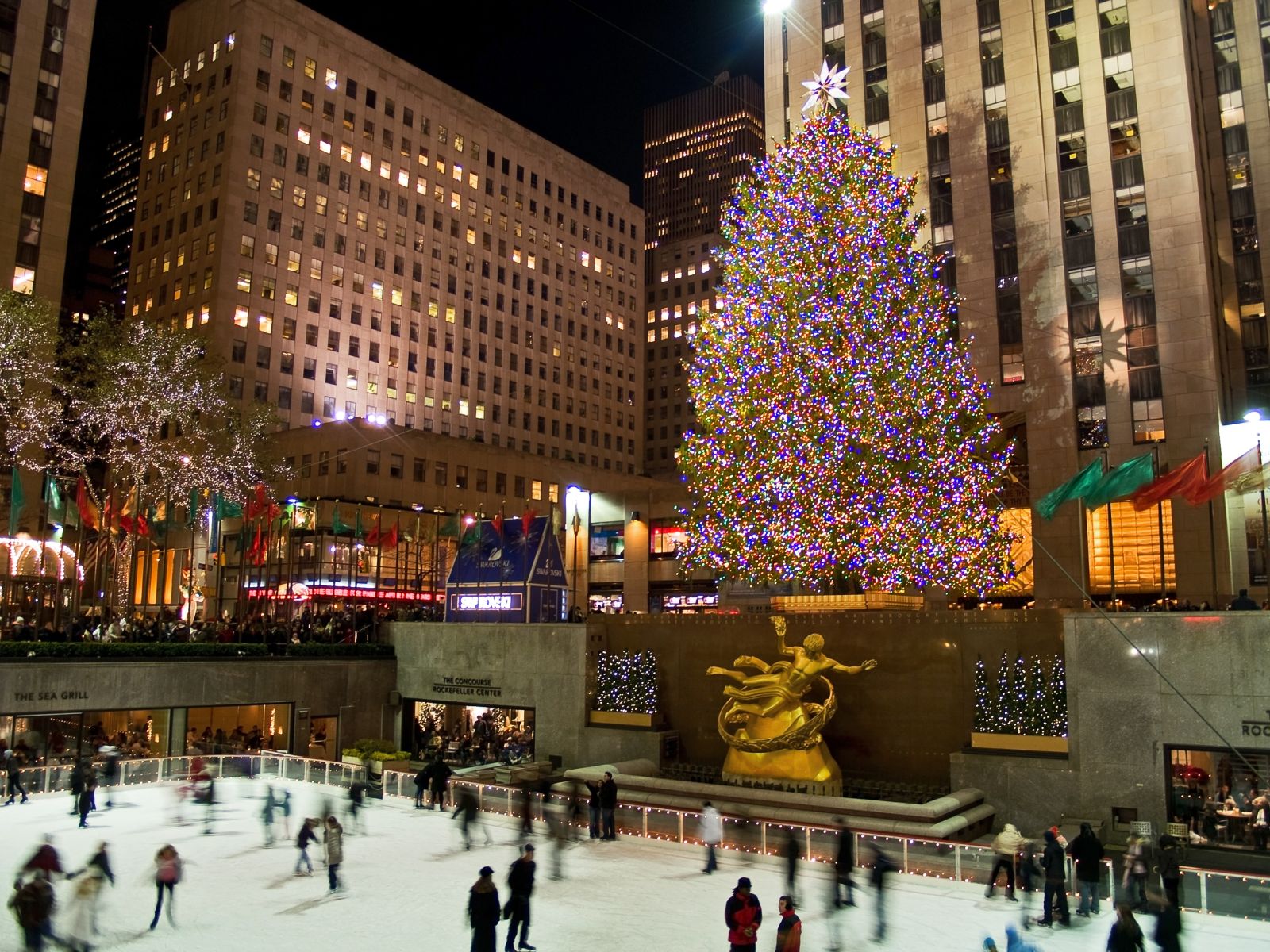 Ice Skating Rink