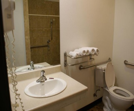 Private Bathroom With Roll-Inn Shower And Stability Rails