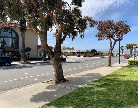 Quiet Street View