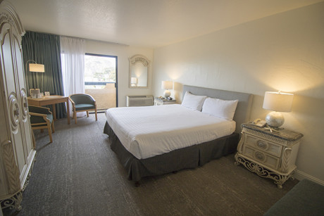 King Non Smoking Oceanview Balcony