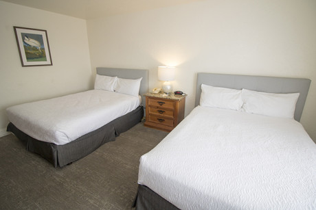 2 Room Bedroom with Kitchen and Living Room