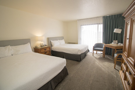 2 Room Bedroom with Kitchen and Living Room
