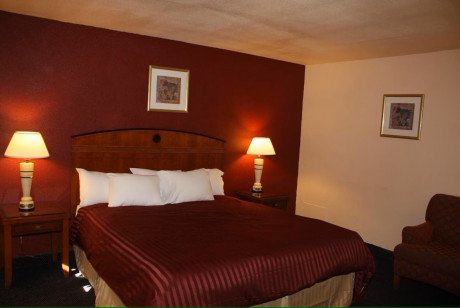 One King-Size Bed Room