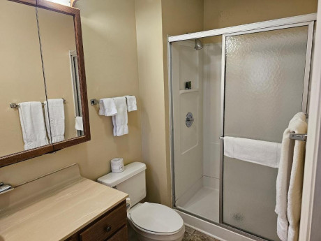 Guest bathroom