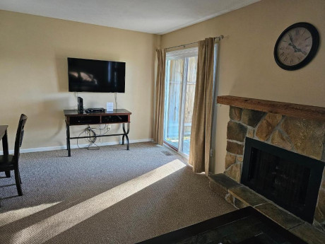 Fireplace/Living Room