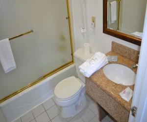 Full bathtub and shower