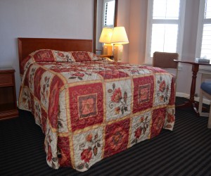 Alpha Inn Queen Standard