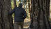 Relax Near Mount Shasta | Shasta Vista Inn & Suites